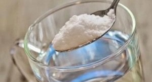 sůl proti plísní